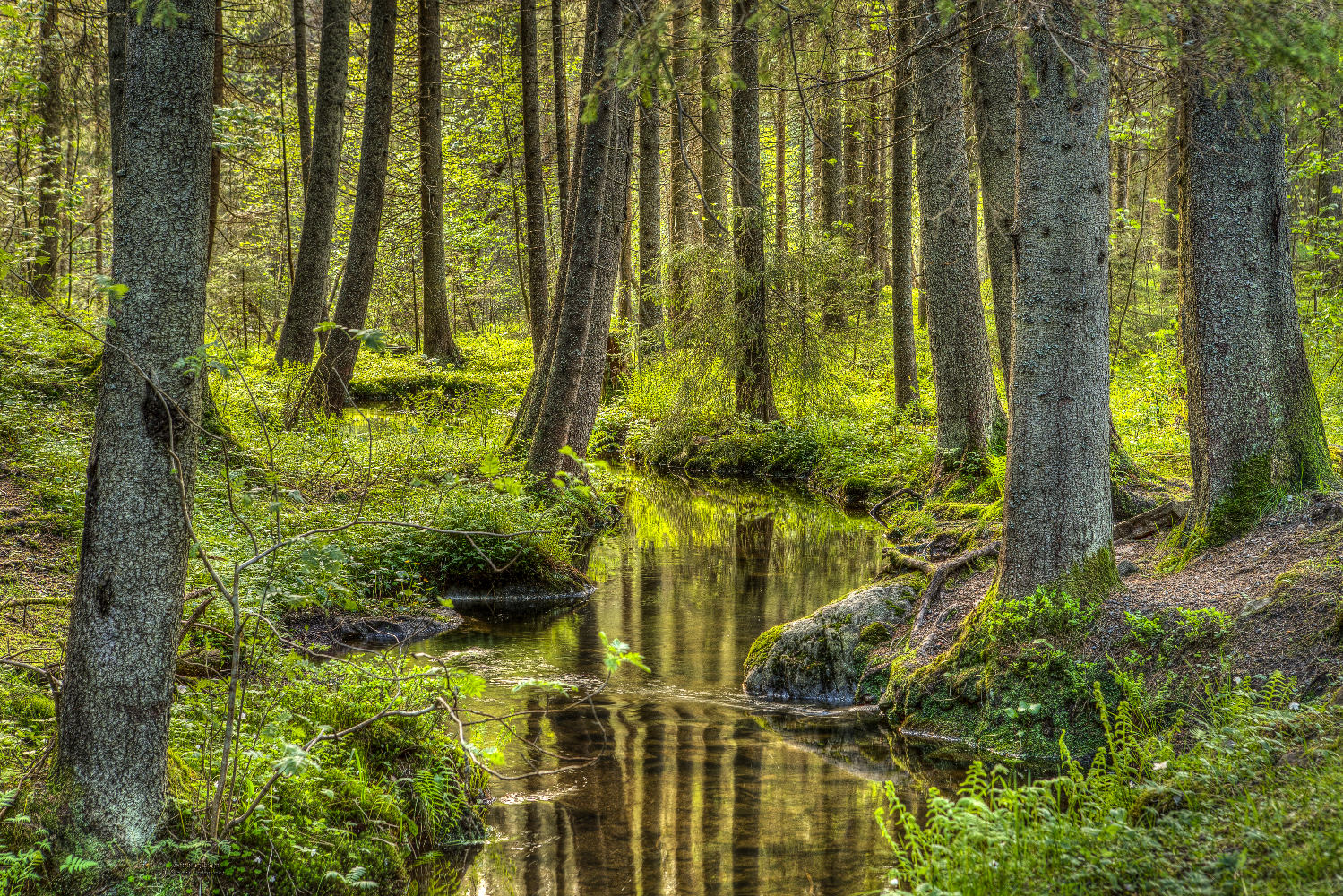 Østbyskogen